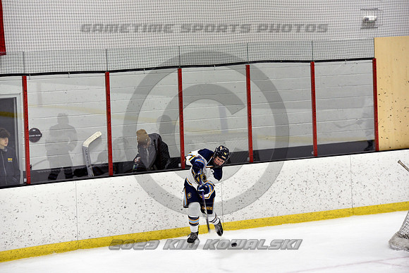 _GSP7463 (Copy)