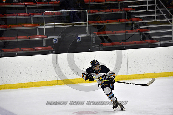 _GSP7465 (Copy)