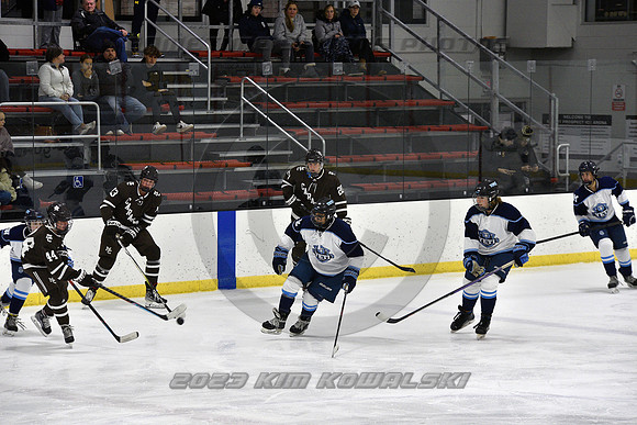 _GSP9263 (Copy)