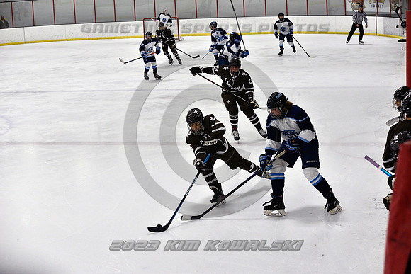 _GSP9277 (Copy)