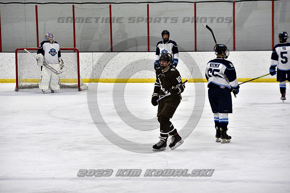 _GSP9295 (Copy)