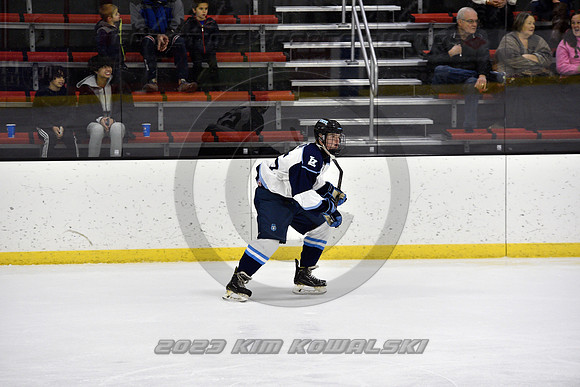_GSP9306 (Copy)