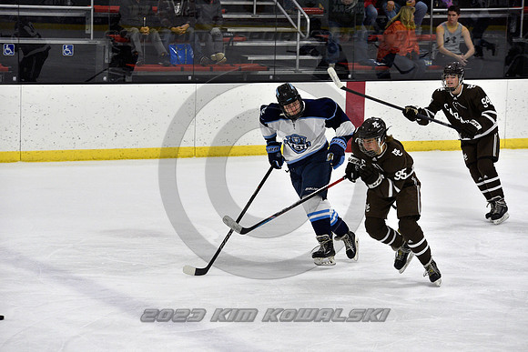 _GSP9308 (Copy)