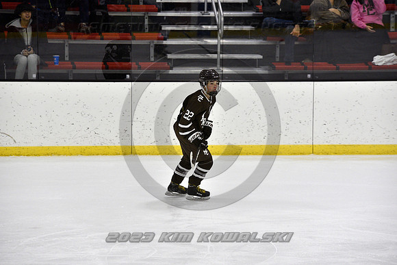 _GSP9314 (Copy)