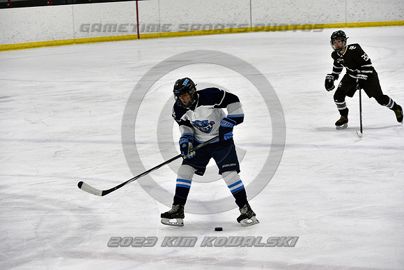 _GSP9315 (Copy)