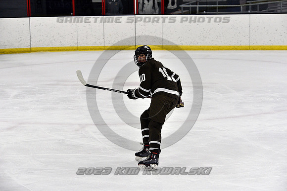 _GSP9317 (Copy)