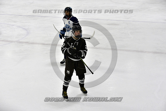 _GSP9334 (Copy)