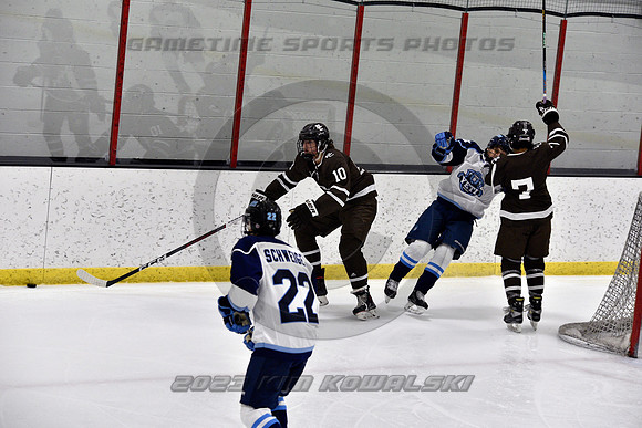 _GSP9335 (Copy)