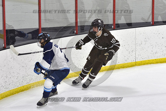 _GSP9338 (Copy)