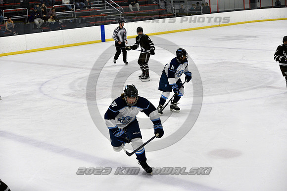 _GSP9403 (Copy)