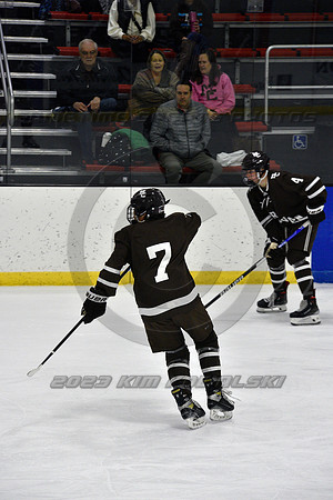 _GSP9445 (Copy)