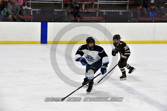 _GSP9499 (Copy)