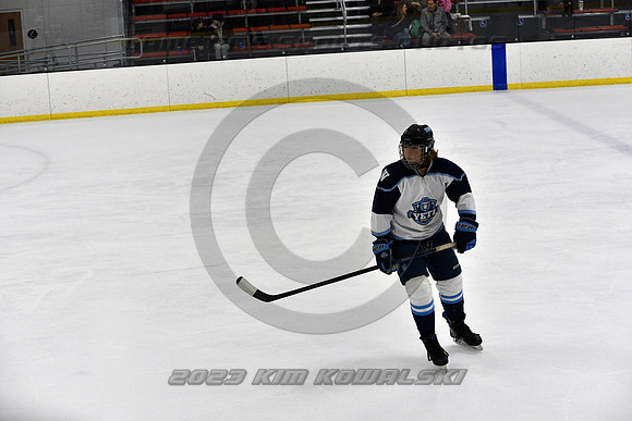 _GSP9509 (Copy)
