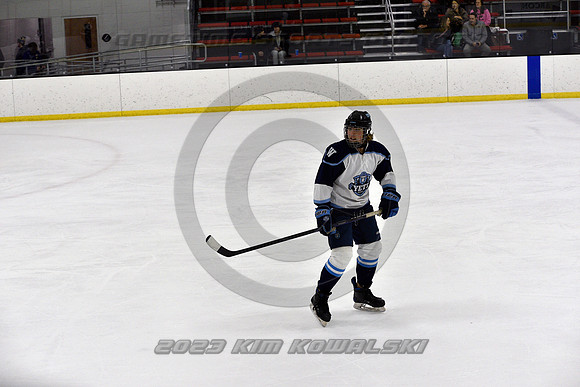 _GSP9508 (Copy)