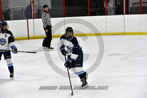 _GSP9514 (Copy)