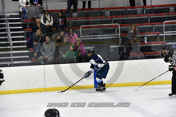 _GSP9550 (Copy)