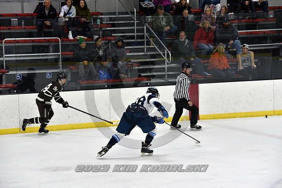 _GSP9553 (Copy)