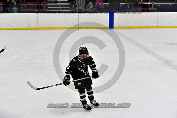 _GSP9583 (Copy)