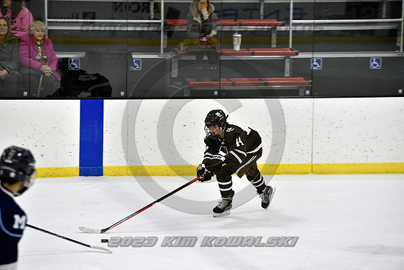 _GSP9627 (Copy)