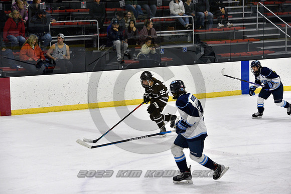 _GSP9631 (Copy)