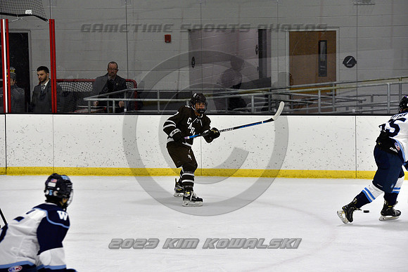 _GSP9607 (Copy)