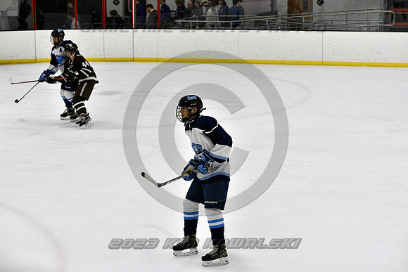 _GSP9649 (Copy)