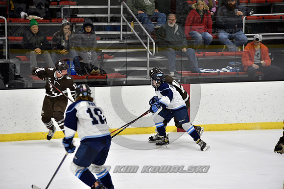 _GSP9665 (Copy)