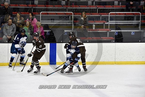 _GSP9667 (Copy)