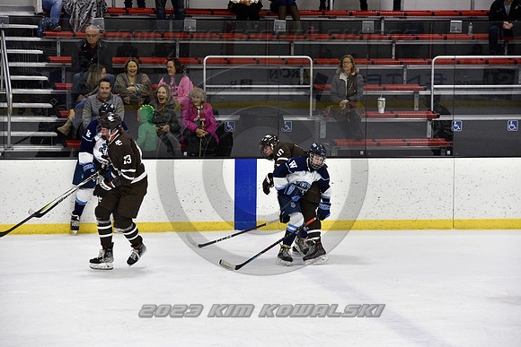 _GSP9668 (Copy)
