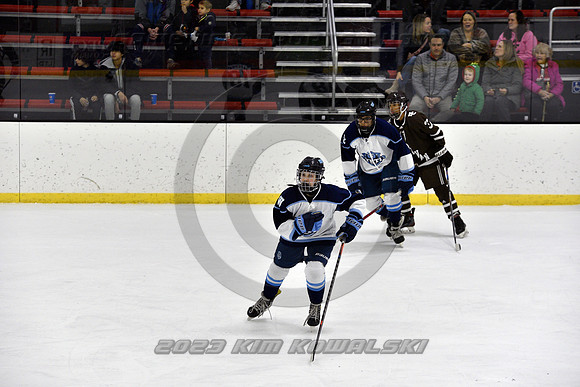 _GSP9671 (Copy)