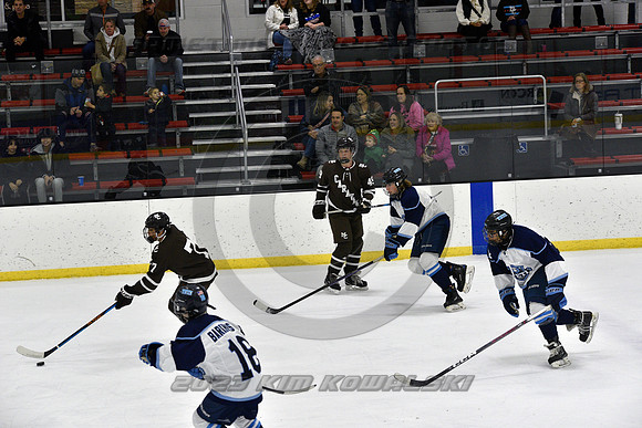 _GSP9688 (Copy)