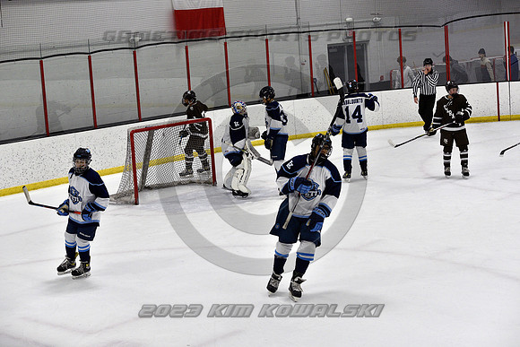 _GSP9690 (Copy)