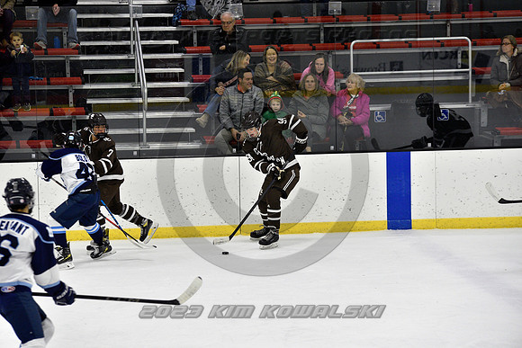 _GSP9717 (Copy)