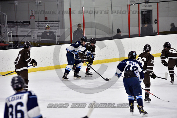 _GSP9721 (Copy)