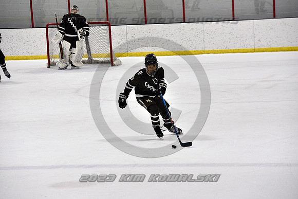 _GSP9723 (Copy)