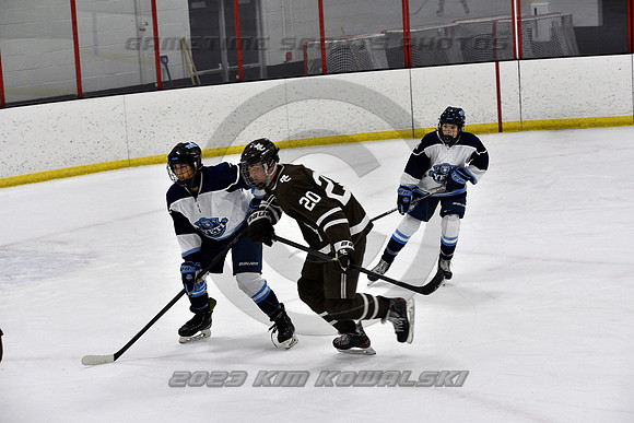 _GSP9729 (Copy)