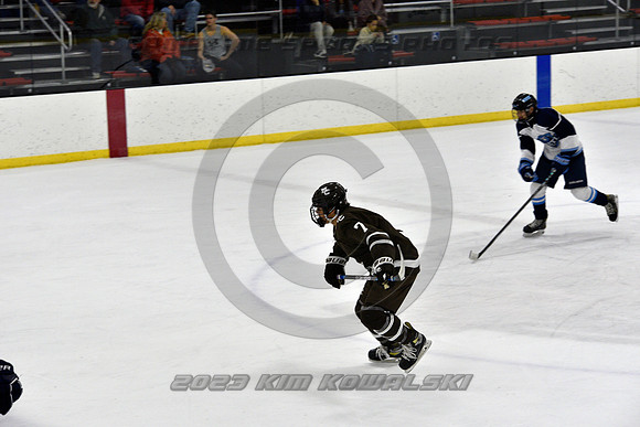 _GSP9790 (Copy)