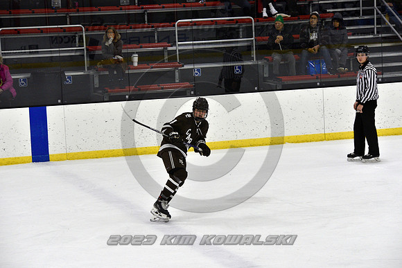 _GSP9799 (Copy)