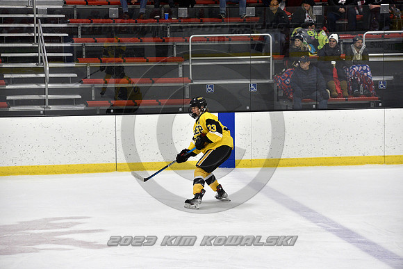 _GSP8593 (Copy)