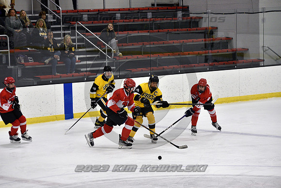 _GSP8613 (Copy)