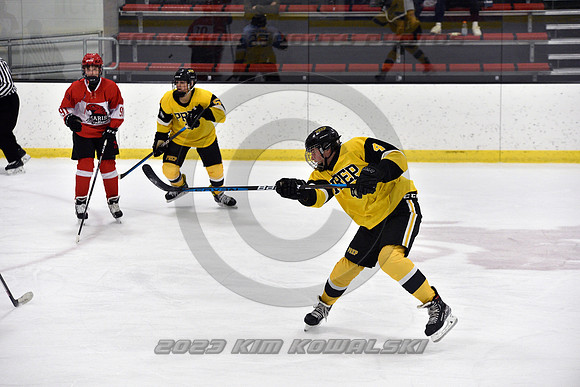 _GSP8637 (Copy)