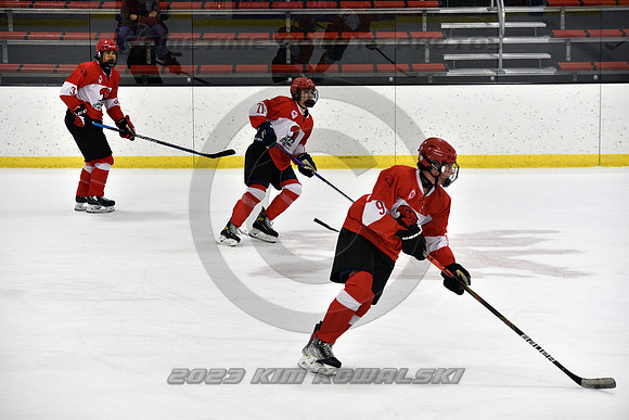_GSP8698 (Copy)