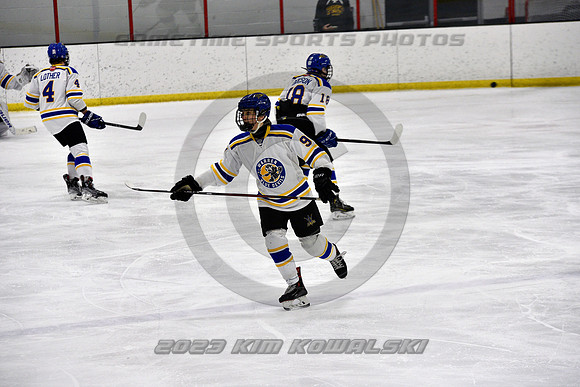 _GSP9838 (Copy)