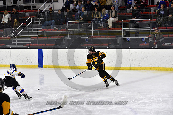 _GSP9851 (Copy)
