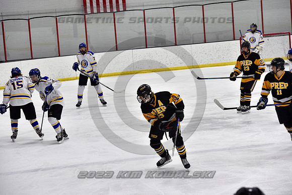 _GSP9863 (Copy)