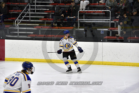 _GSP9866 (Copy)