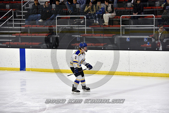 _GSP9868 (Copy)