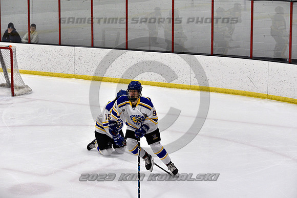 _GSP9879 (Copy)
