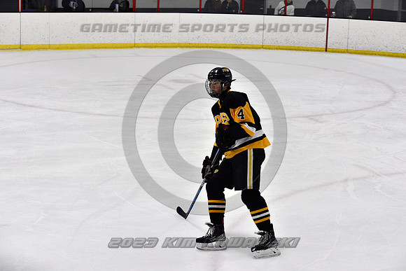 _GSP9908 (Copy)