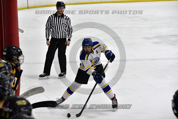 _GSP9910 (Copy)